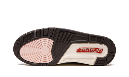 AIR JORDAN 3 WMNS "Dark Mocha" CK9246 102