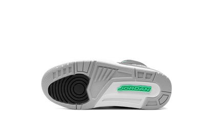 Air Jordan 3 PS "Green Glow" DM0966 031