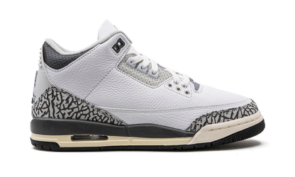 Air Jordan 3 GS "Hide N Sneak" DX6665 100