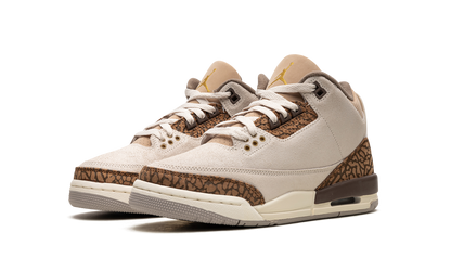 Air Jordan 3 GS "Palomino" DM0967 102