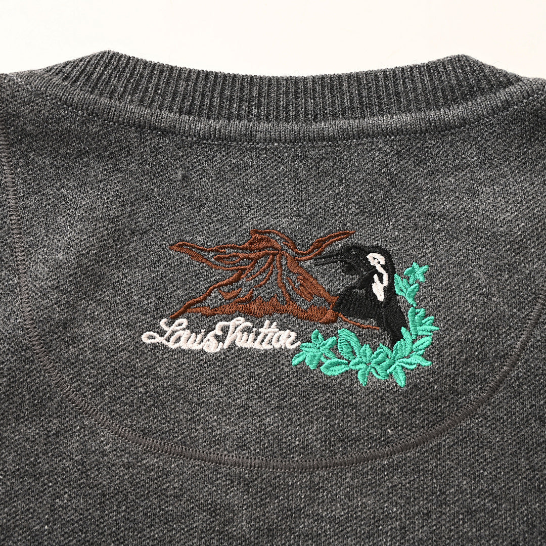 Louis Vuitton Trendy Sweatshirt