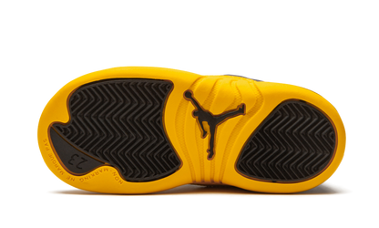 Air Jordan 12 Retro TD "University Gold" 850000 070