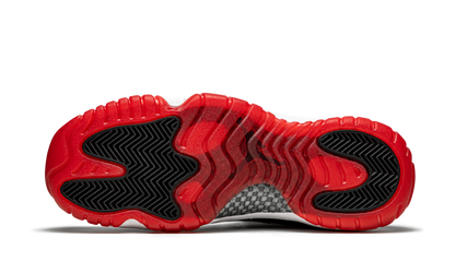 Air Jordan 11 Low GS "Concord Bred" 528896 160