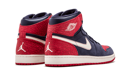 Air Jordan 1 Retro High "Election Day" 332550 401