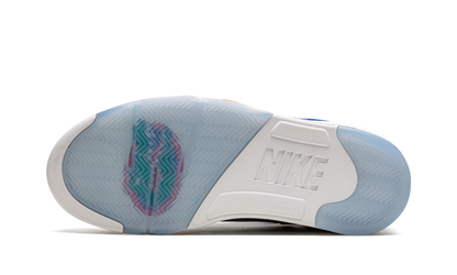Air Jordan 5 PE "Florida Gators" DJ4954 997013