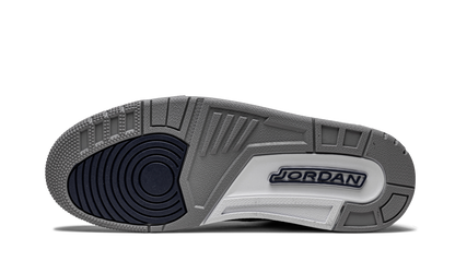 Air Jordan 3 Retro "Georgetown" CT8532 401