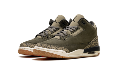 Air Jordan 3 GS "Family Affair" DM0967 202