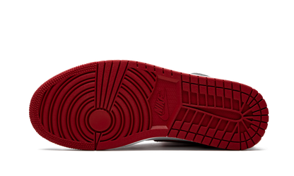Air Jordan 1 High OG "Bloodline / Meant To Fly" 555088 062