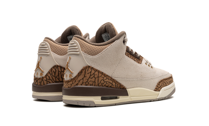 Air Jordan 3 GS "Palomino" DM0967 102