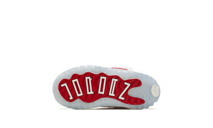 Air Jordan 11 TD "Cherry" 378040 116