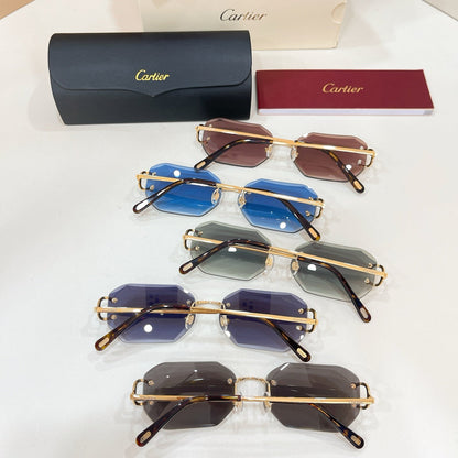 Cartier Eyeglasses CT0092O
